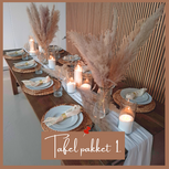 Tafeldecoratie voor bruiloft, Boho, Beachy, Ludic tafelstyling, stranddecoratie, strand