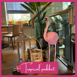 Ludic Partyrentals - Tropical decoratie pakket met flamingo