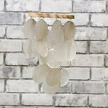 LudicPartystyling - Windgong ludic, windgong beach, windgong Schelpen