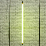 Neon diverse kleuren, neon geel, geel lamp, neon ludic