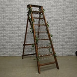 Ludic Partyrentals - Champagne ladder, champagne houders, ladder ludic