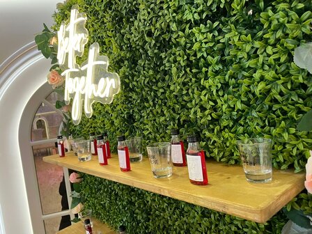 Ludic Partyrentals - Champagne wall Greenery Small