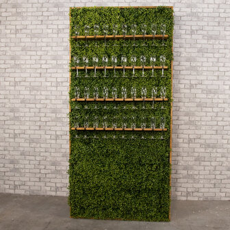 Ludic Partyrentals - Champagne wall Greenery Small