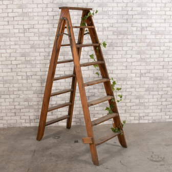 Ludic partyrentals - Ladder Vintage