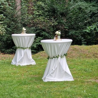 Ludic partyrentals - Statafelrok Champagne met klimop slinger