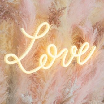 Ludic Partyrentals - Neon sign Love Warm Wit