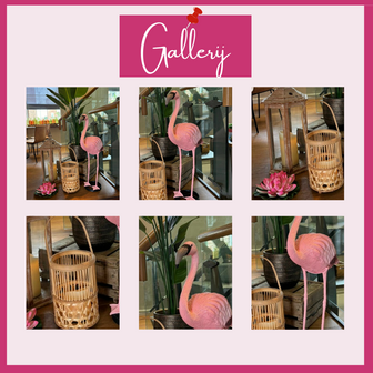 Ludic Partyrentals - Tropical decoratie pakket met flamingo