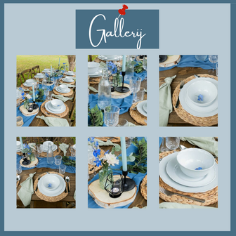Ludic partyrentals - Tafeldecoratie pakket riet/blauw