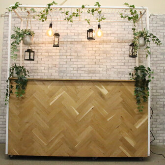 Ludic partyrentals - Bar Visgraat