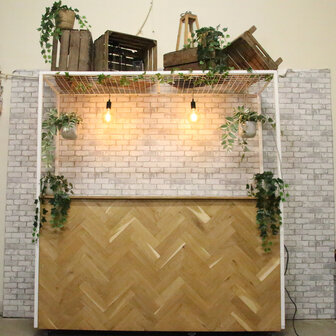 Ludic partyrentals - Bar Visgraat