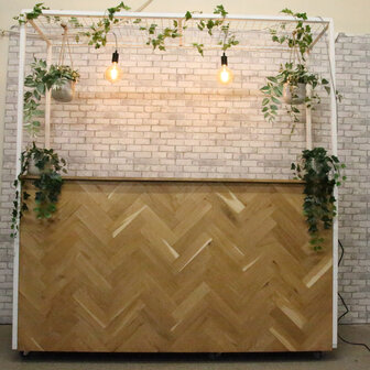 Ludic partyrentals - Bar Visgraat