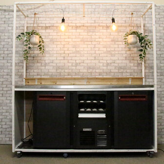 Ludic partyrentals - Bar Visgraat