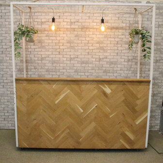 Ludic partyrentals - Bar Visgraat