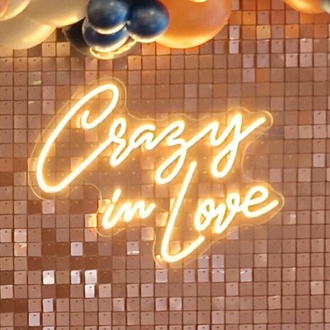 Ludic Partyrentals - Neon sign Crazy in Love Warm Wit