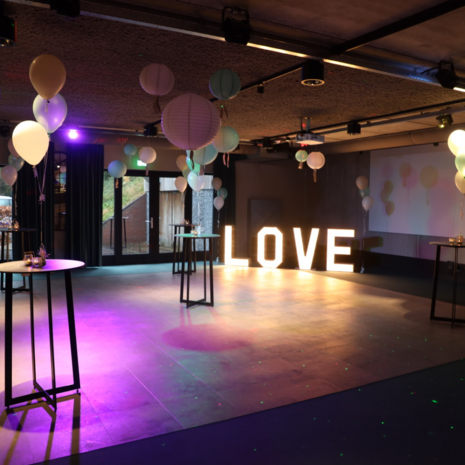 Ludic partyrentals - LichtLetters Love hout huren