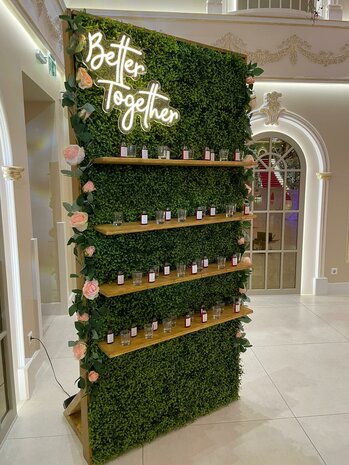 Ludic Partyrentals - Champagne wall Greenery Small