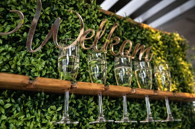 Ludic Partyrentals - Champagne wall Greenery Small