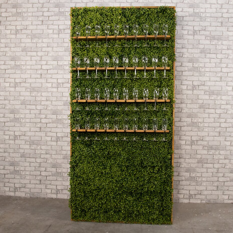 Ludic Partyrentals - Champagne wall Greenery Small