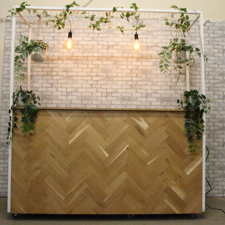 Ludic partyrentals - Bar Visgraat