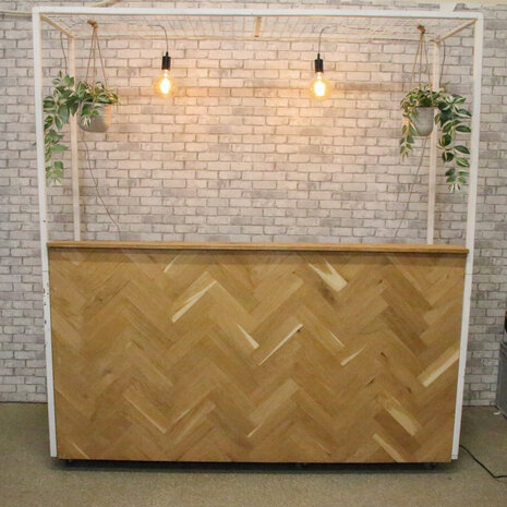 Ludic partyrentals - Bar Visgraat
